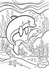 Free & Easy To Print Dolphin Coloring Pages  coloring sketch template