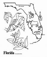 USA Printables Florida State Outline Shape And Demographic Map  sketch template
