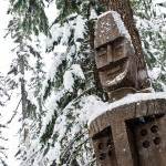 Whistler Snowshoeing | Canadian Wilderness Adventures