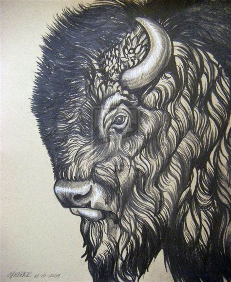 on deviantART by HouseofChabrier Buffalo Animal, Buffalo Art, American ...