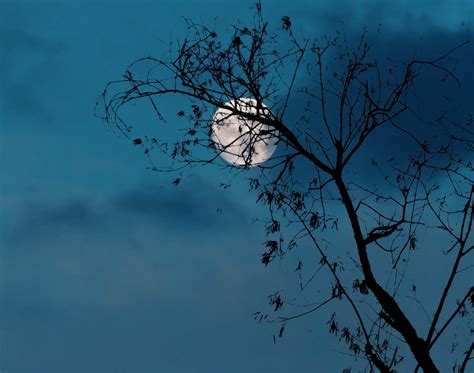 Download Full Moon Luna Night Sky Aesthetic Wallpaper | Wallpapers.com