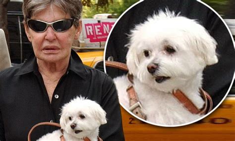 Trouble the dog who inherited $12m from billionaire Leona Helmsley dies | Daily Mail Online