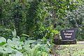 Category:Signs in El Yunque National Forest - Wikimedia Commons