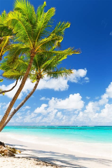 Top 10 best beaches in the Dominican Republic | Most beautiful beaches, Beautiful islands ...