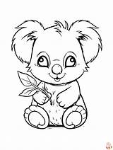 Free Printable Koala Coloring Pages  GBcoloring sketch template