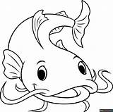 Catfish Coloring Page  Easy Drawing Guides sketch template