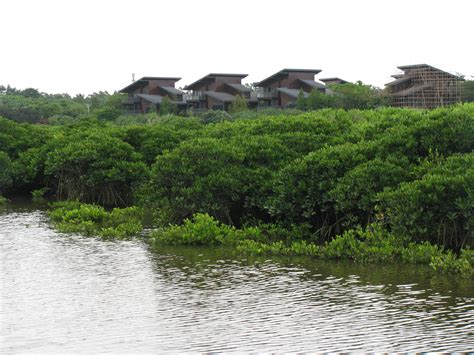 Mangrove Bay Park | www.afunadventure.com