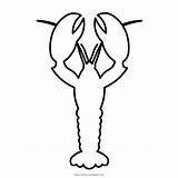 Lobster Coloring Page  Ultra Pages sketch template