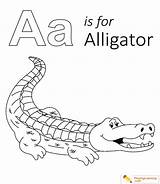 Cute Alligator Coloring Page Coloring Pages sketch template