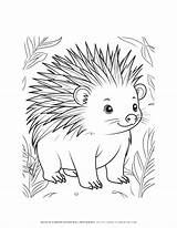 Enchanting Porcupine Forest Coloring Page  Printable Wildlife Art For sketch template