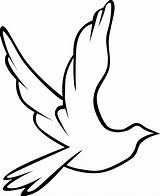 Free White Dove Coloring Page Download  sketch template