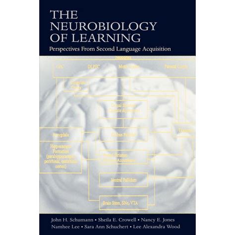 The Neurobiology of Learning : Perspectives from Second Language Acquisition (Paperback ...