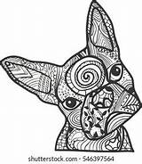Boston Terrier French Bulldog Doodle Coloring Stock Vector Royalty  sketch template