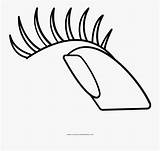 Eyes With Lashes Clip Art Vector Sketch Coloring Page sketch template