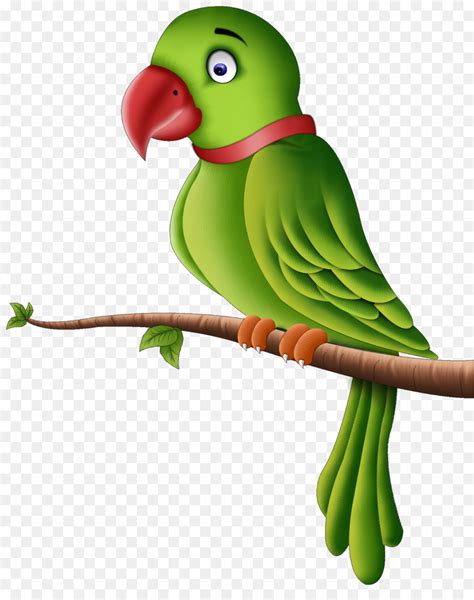 Free Parrot Cliparts, Download Free Parrot Cliparts png images, Free ...