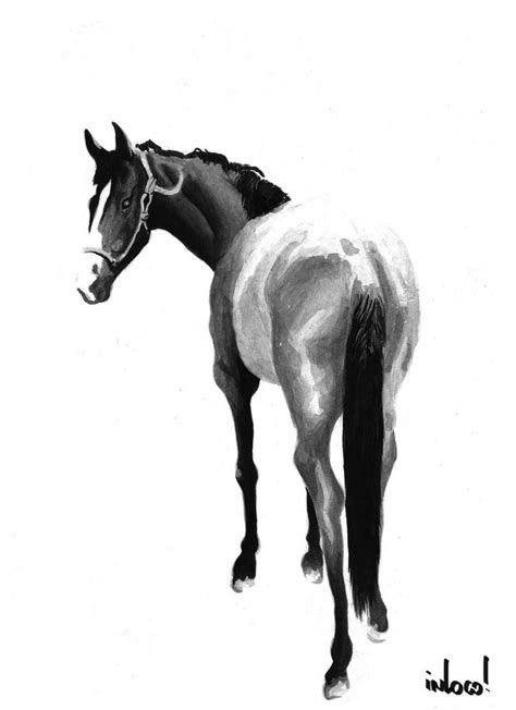 Horse Watercolor by hurulla in 2023 | Watercolor horse, Horses, Watercolor horse painting