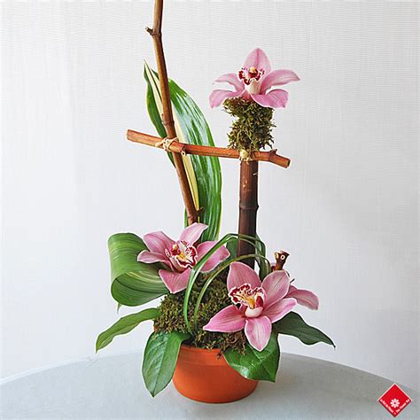 Cymbidium Orchid Arrangement by Montreal Florist · The Flower Pot