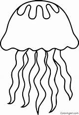 Jellyfish Coloring Pages 47 Free Printables  ColoringAll sketch template
