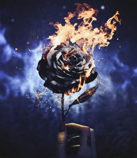 Burning Rose Wallpapers - Top Free Burning Rose Backgrounds ...