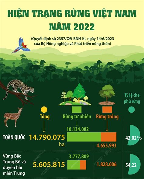 Hiện trạng rừng Việt Nam năm 2022