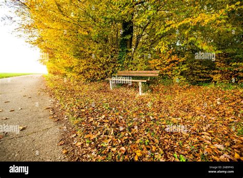 park bench in autumn Stock Photo - Alamy