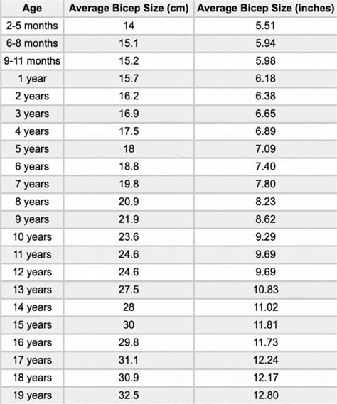 Average Bicep Size and Circumference (Males, Females, Teens)