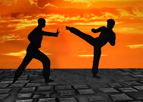 Martial Arts Free Stock Photo - Public Domain Pictures