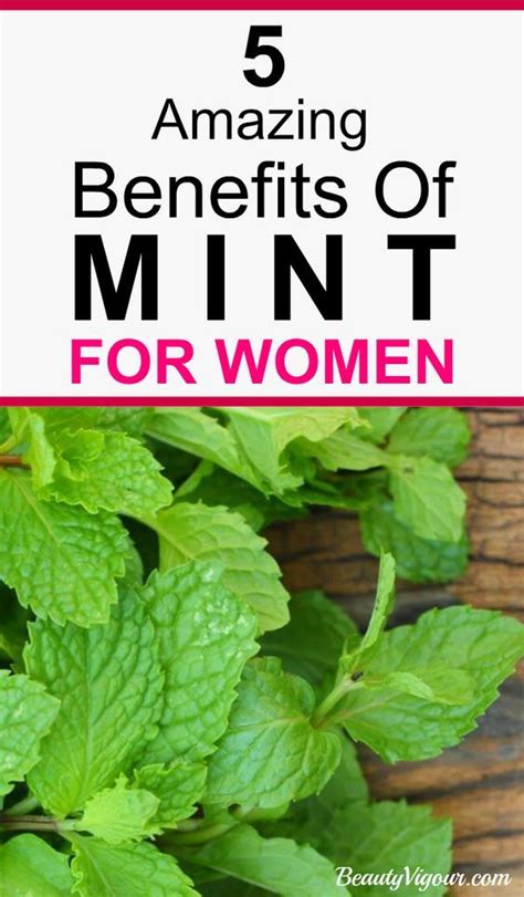 5 Amazing Benefits Of Mint For Women | Coconut health benefits, Calendula benefits, Mint leaves ...