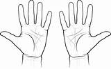 Royalty Free Open Hand Clip Art Vector Images & Illustrations  IStock sketch template