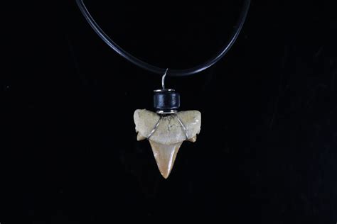 Fossil Shark tooth Necklace – Creetown Gem Rock Museum