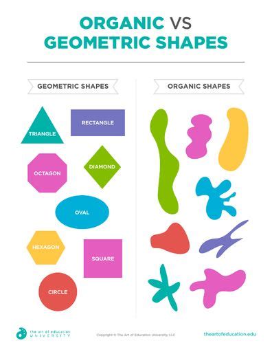 Organic Shapes in Art - Bradyn-has-Melton