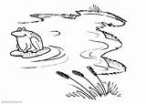 Pond Coloring Pages Cattails And Frog  Free Printable sketch template