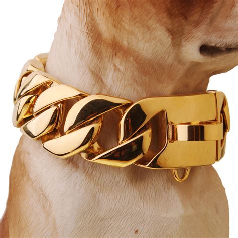 Big Gold Chain Cuban Link Style 32mm Dog Collar – Barking Bullies