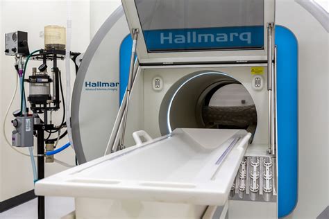 Small Animal MRI - Hallmarq Veterinary Imaging