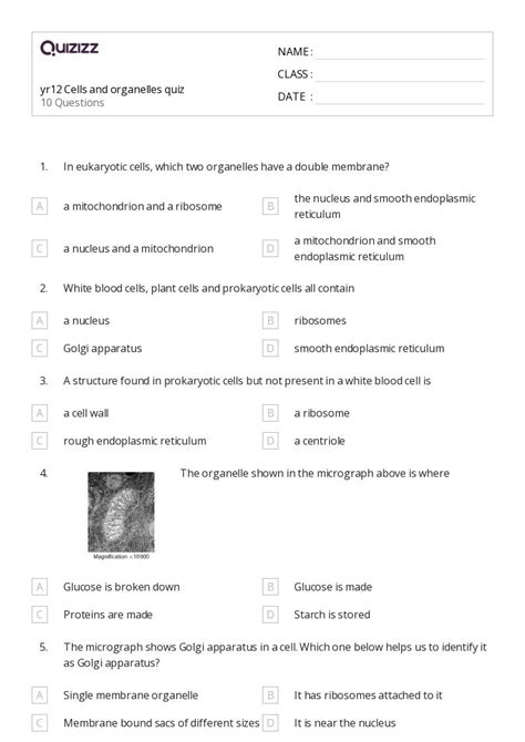 50+ plant cell diagram worksheets on Quizizz | Free & Printable