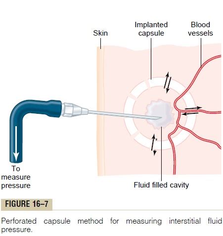 Interstitial Fluid Hydrostatic Pressure