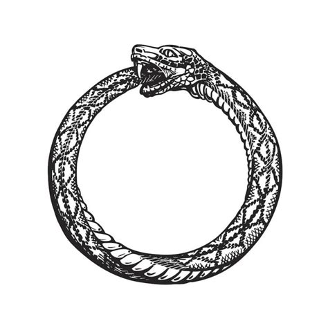 Ouroboros Symbol – Meaning, Interesting Facts and Origins