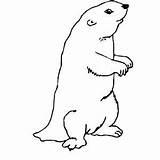 Gopher Coloring Sheet sketch template