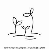 Flowers Coloring Page  Ultra Pages sketch template