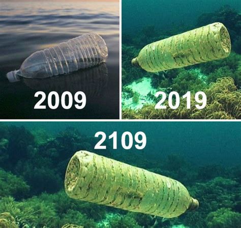 35 Funniest Memes That Mock The ‘10 Year Challenge’ | Save planet earth, Save earth, Save our earth