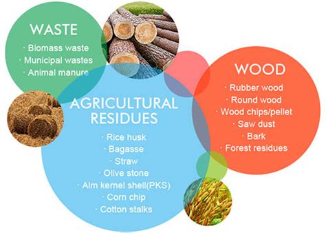 Waste recycling plant - turn biomass to biofuel briquette