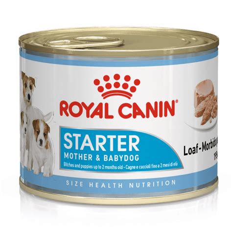 Royal Canin Dog Food Starter Mousse | The Pet Supermarket