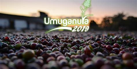 Umuganura Day in Rwanda in 2020 | Office Holidays