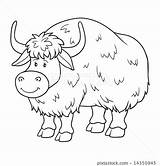 Coloring Pages Yak  Blog Images sketch template