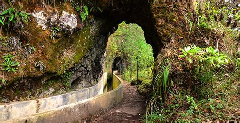 The Levadas - The waterways of Madeira - Ocean Retreat