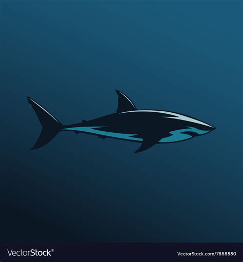 Great white shark color Royalty Free Vector Image