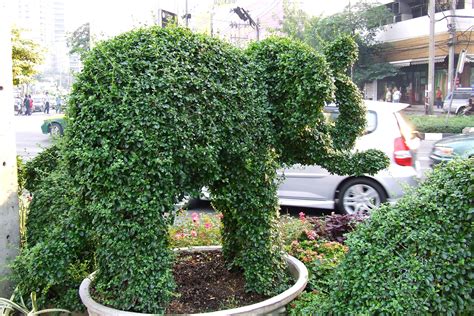 File:Elephant topiary.jpg - Wikimedia Commons