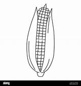 Ears Of Corn Coloring Pages sketch template