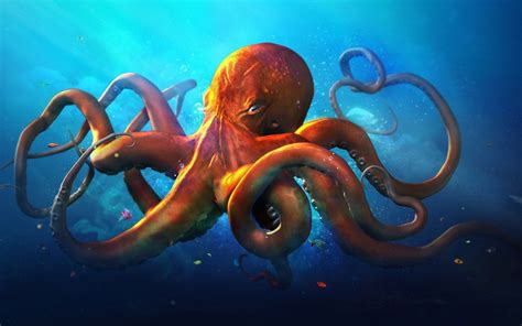 1920x1200 octopus cool wallpaper for desktop | Octopus wallpaper, Octopus illustration, Octopus ...