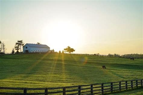 Why do we call it 'bluegrass'? - The Kentucky 100